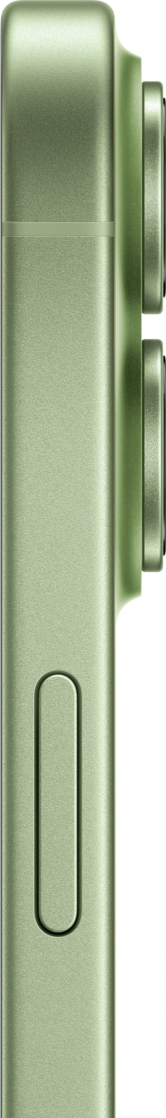 Apple iPhone 17 (Sage, 256 GB)