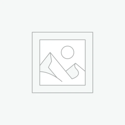 Vivo X300 FE 5G 256 GB, 8 GB RAM, Noir Black, Mobile Phone